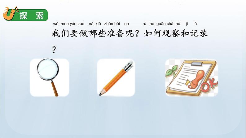 教科版一年级科学上册课件 第一单元 植物 6 校园里的植物08