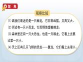 教科版一年级科学上册课件 第二单元 比较与测量 1 在观察中比较