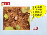教科版二年级科学上册课件 第一单元 我们的地球家园 2 土壤——动植物的乐园