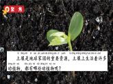 教科版二年级科学上册课件 第一单元 我们的地球家园 2 土壤——动植物的乐园