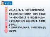 教科版二年级科学上册课件 第一单元 我们的地球家园 7 做大自然的孩子