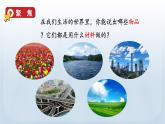 教科版二年级科学上册课件 第二单元 材料 1 我们生活的世界