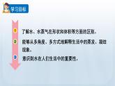 教科版三年级科学上册课件 第一单元 水 1 水到哪里去了