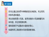 教科版三年級科學(xué)上冊課件 第三單元 天氣 5 觀測風(fēng)