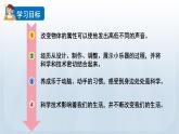 教科版四年级科学上册课件 第一单元 声音 8 制作我的小乐器