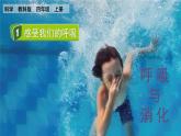 教科版四年级科学上册课件 第二单元 呼吸与消化 1 感受我们的呼吸