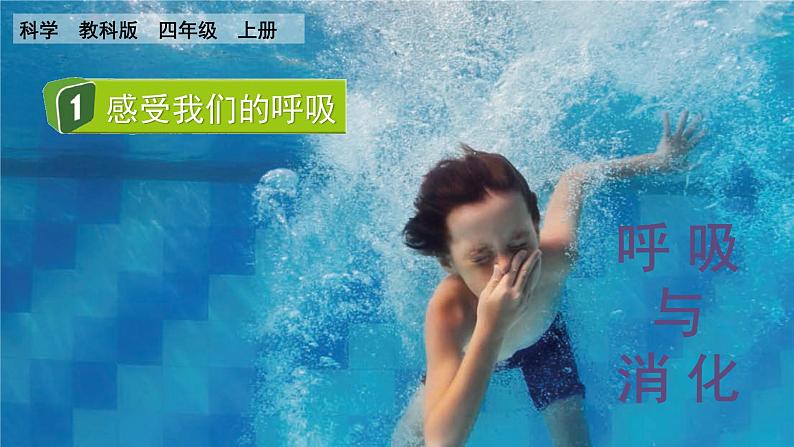 教科版四年级科学上册课件 第二单元 呼吸与消化 1 感受我们的呼吸01