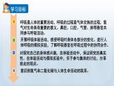 教科版四年级科学上册课件 第二单元 呼吸与消化 1 感受我们的呼吸
