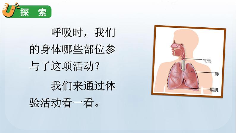教科版四年级科学上册课件 第二单元 呼吸与消化 1 感受我们的呼吸06