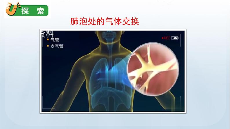 教科版四年级科学上册课件 第二单元 呼吸与消化 2 呼吸与健康生活06