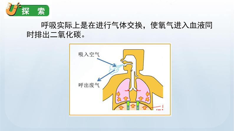 教科版四年级科学上册课件 第二单元 呼吸与消化 2 呼吸与健康生活07