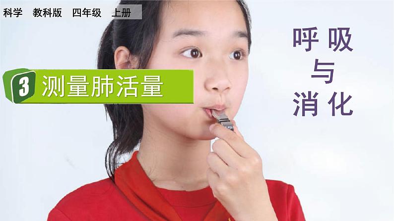 教科版四年级科学上册课件 第二单元 呼吸与消化 3 测量肺活量01
