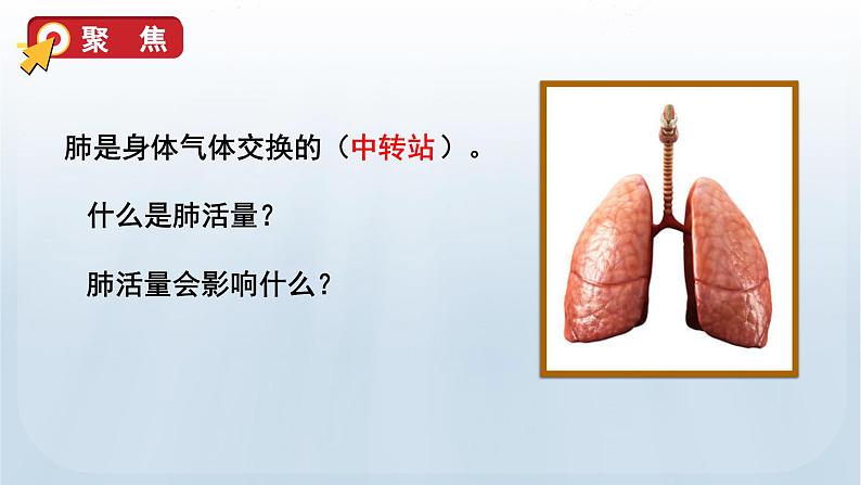 教科版四年级科学上册课件 第二单元 呼吸与消化 3 测量肺活量03