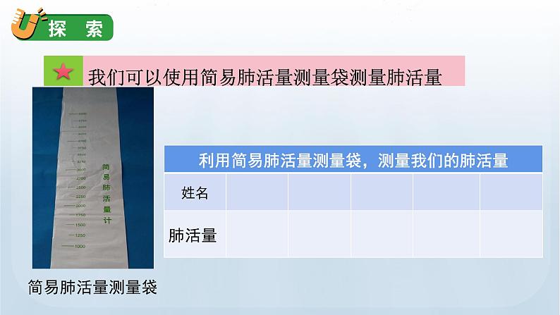 教科版四年级科学上册课件 第二单元 呼吸与消化 3 测量肺活量07