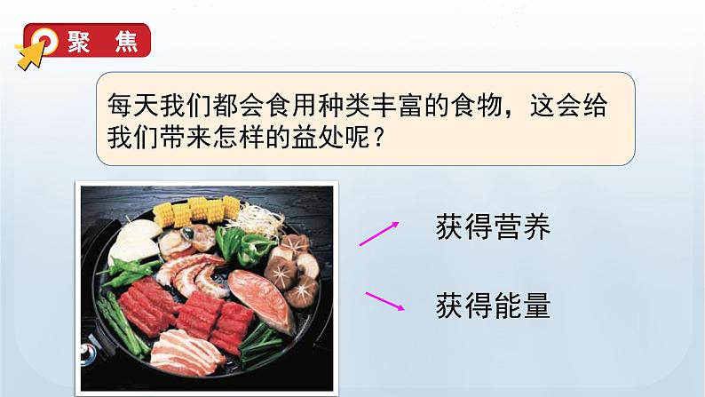 教科版四年级科学上册课件 第二单元 呼吸与消化 5 食物中的营养04