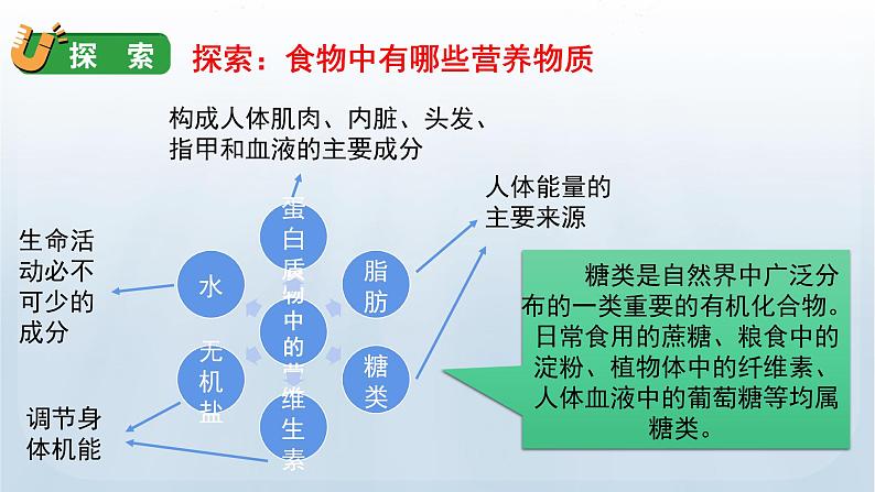 教科版四年级科学上册课件 第二单元 呼吸与消化 5 食物中的营养05
