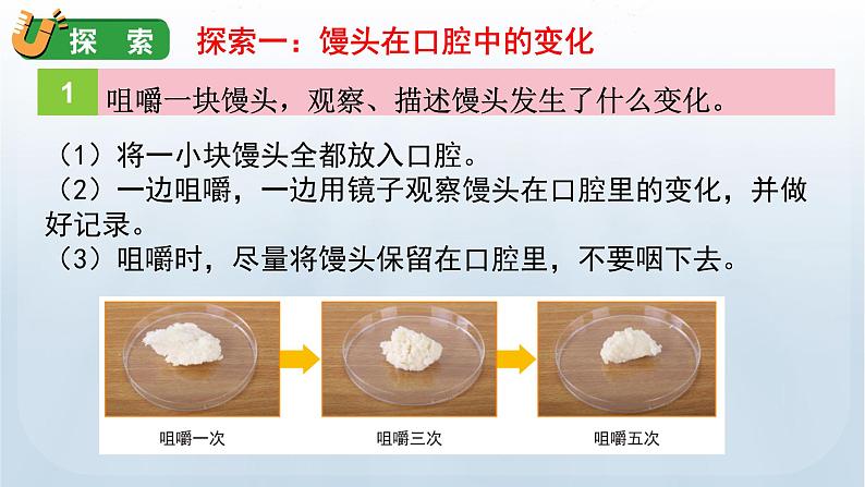 教科版四年级科学上册课件 第二单元 呼吸与消化 7 食物在口腔里的变化07