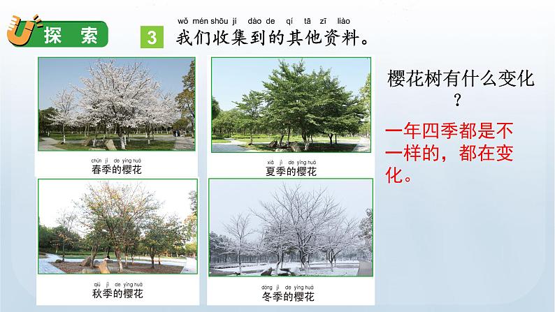 教科版一年级科学上册课件 第一单元 植物 5 植物是活的吗08