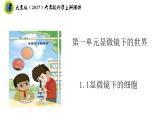 大象版（2017）六年級科學上冊1.1顯微鏡下的細胞課件+素材