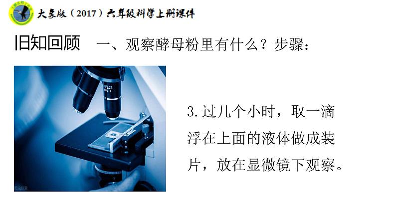 大象版（2017）六年级科学上册1.3发霉的馒头课件+素材08