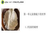 大象版（2017）六年級科學(xué)上冊1.2發(fā)面的秘密…課件+素材