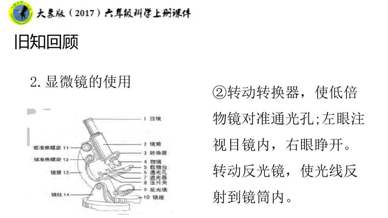 大象版（2017）六年级科学上册1.2发面的秘密…课件+素材08