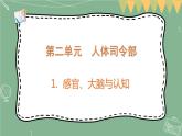大象版科学五上 2.1 感官、大脑与认知 课件PPT (含练习)