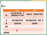 大象版科学五上 2.1 感官、大脑与认知 课件PPT (含练习)