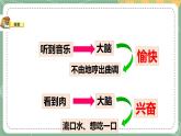 大象版科学五上 2.3 人体司令部 课件PPT (含练习)