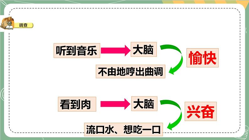 大象版科学五上 2.3 人体司令部 课件PPT (含练习)第5页