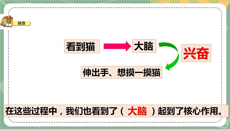 大象版科学五上 2.3 人体司令部 课件PPT (含练习)第6页