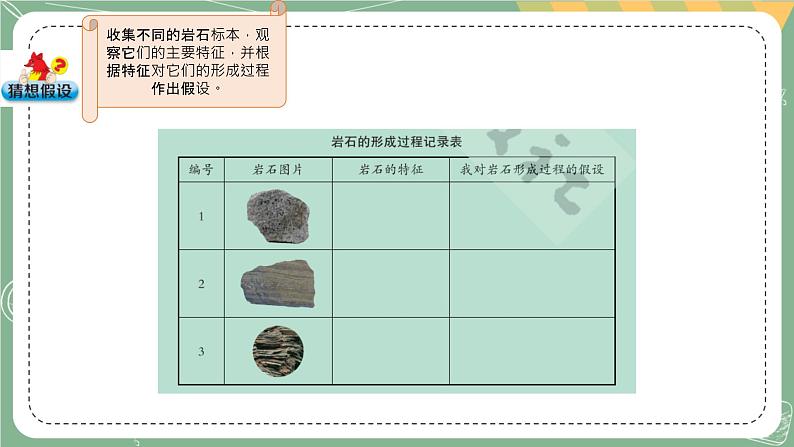 大象版科学五上 4.3 地壳中的岩石 课件PPT (含练习)03