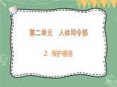 大象版科学五上 2.2 保护感官 课件PPT (含练习)