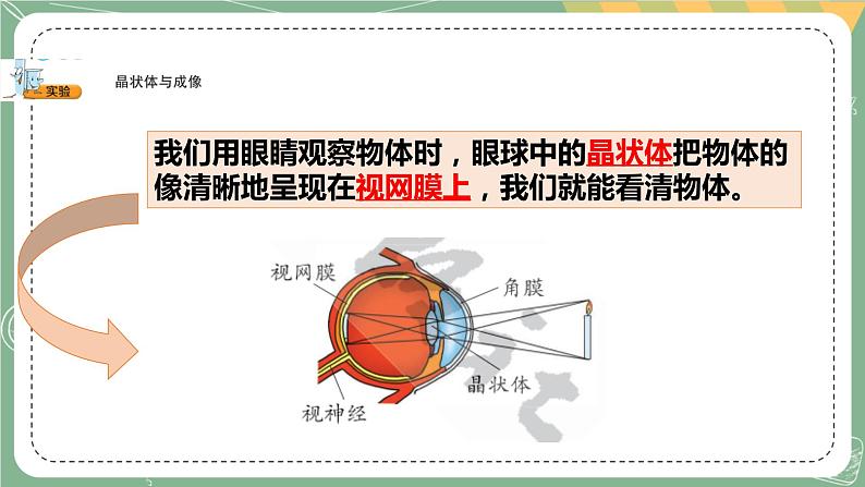 大象版科学五上 2.2 保护感官 课件PPT (含练习)03