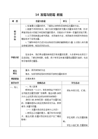 2021学年14 发霉与防霉优秀表格教学设计及反思