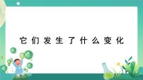 小学科学教科版 (2017)三年级上册8.它们发生了什么变化精品ppt课件