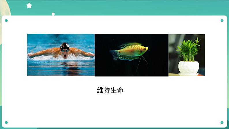 教科版3上科学 2.8 空气和我们的生活 课件+教案+练习+任务单08