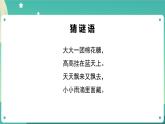 教科版3上科学 3.6 观察云 课件+教案+练习+任务单