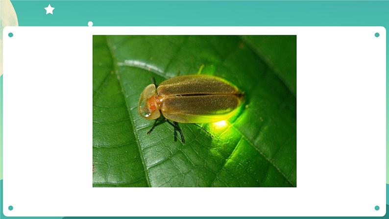 1.1《有关光的思考》课件+教案+练习+任务单 教科版科学五上07