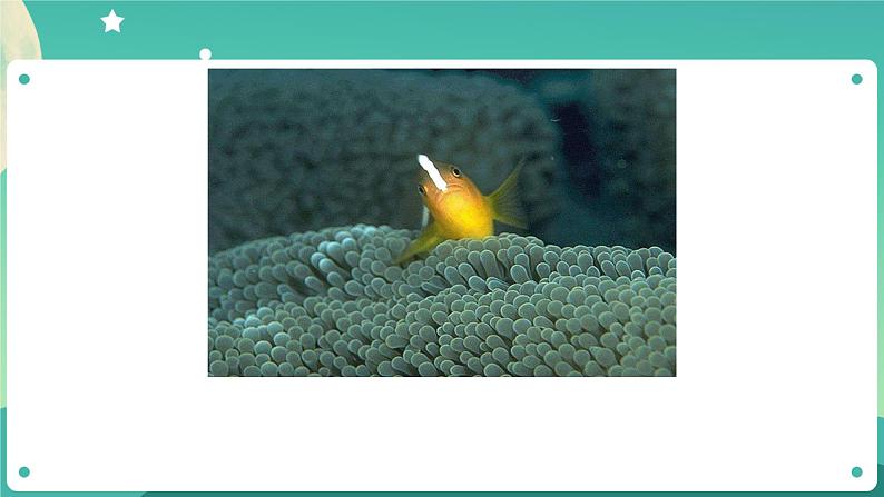 1.1《有关光的思考》课件+教案+练习+任务单 教科版科学五上08