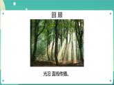 1.3《光的传播会遇到阻碍吗》课件+教案+练习+任务单 教科版科学五上