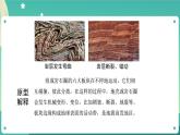 2.4《火山喷发的成因及作用》课件+教案+练习+任务单 教科版科学五上