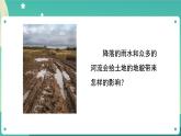 2.6《水的作用》课件+教案+练习+任务单 教科版科学五上