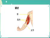 4.2 身体的运动 课件+教案+练习+任务单 教科版科学五上