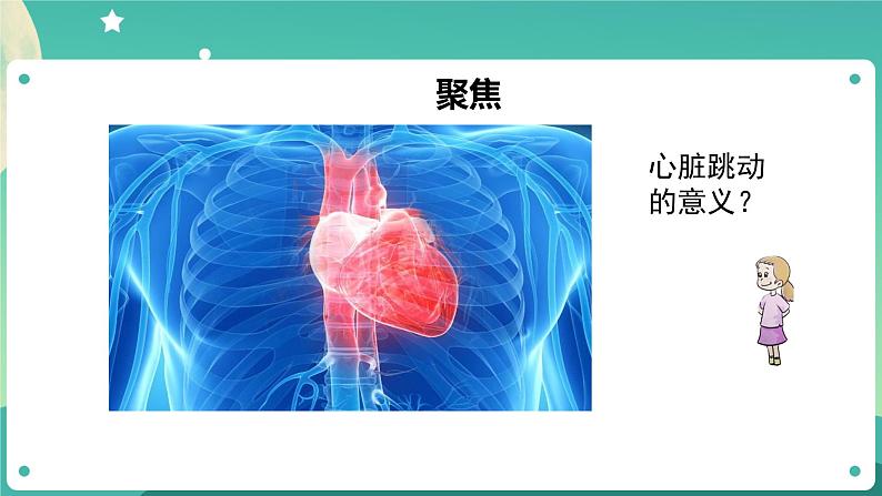 五年级上册科学课件-4.3 心脏和血液 教科版第4页