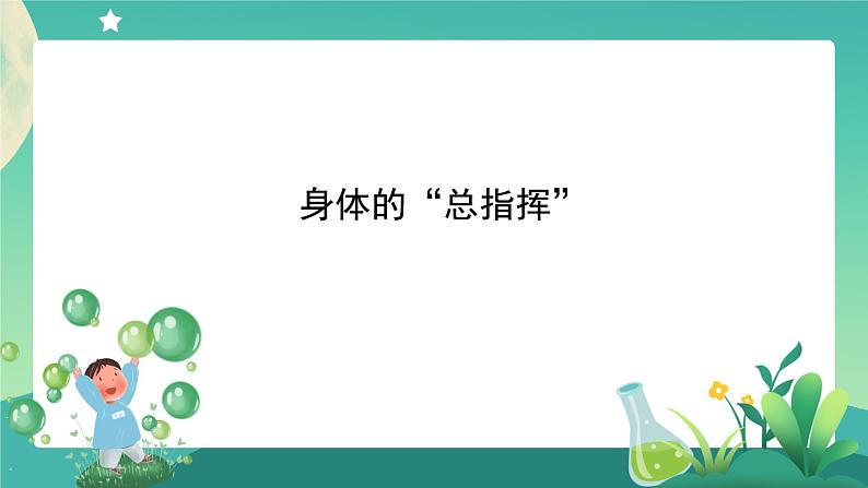 4.4《身体的“总指挥”》课件+教案+练习+任务单 教科版科学五上01