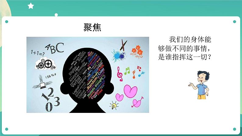 五年级上册科学课件-4.4 身体的“总指挥” 教科版第2页