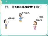 4.5《身体的“联络员”》课件+教案+练习+任务单 教科版科学五上