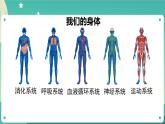 4.7《制订健康生活计划》课件+教案+练习+任务单 教科版科学五上