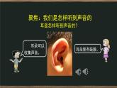 1.4 我们是怎样听到声音的课件+教案+练习+任务单 教科版四上科学